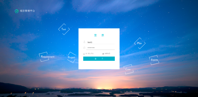 IT项目预算管理